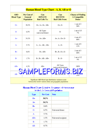 Blood Type Chart 1 pdf free